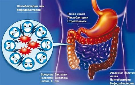 Как предотвратить эрозию и сохранить фертильность