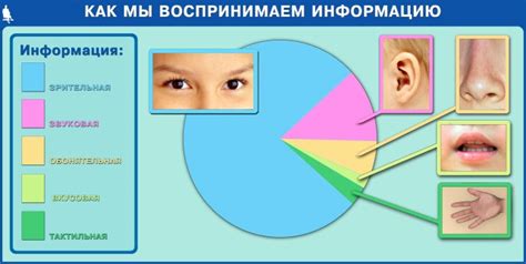 Как прилагательные влияют на восприятие информации?