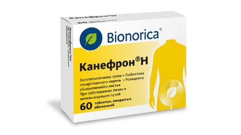 Как принимать Канефрон?