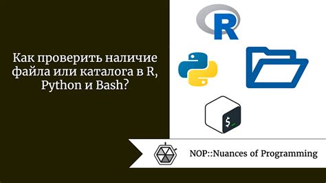 Как проверить наличие файла в Python: пошаговая инструкция