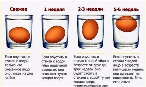 Как проверить свежесть яйца в воде