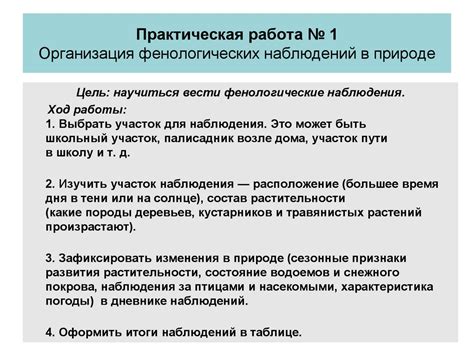 Как проводятся фенологические наблюдения?