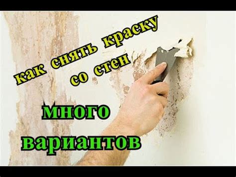 Как работает короед на масляную краску?