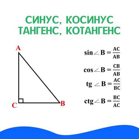 Как работает синус и косинус в геометрии?