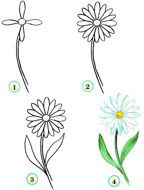 Как рисовать цветы ромашки пошагово: подробная инструкция