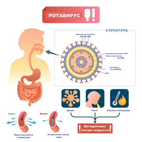 Как ротавирус передается детям?