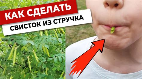 Как сделать свисток для боцмана своими руками