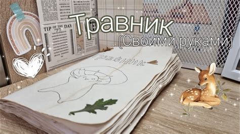 Как сделать травник из бумаги