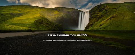 Как создать адаптивное изображение с помощью CSS