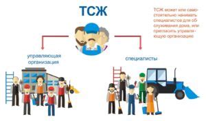 Как стать членом правления ТСЖ?