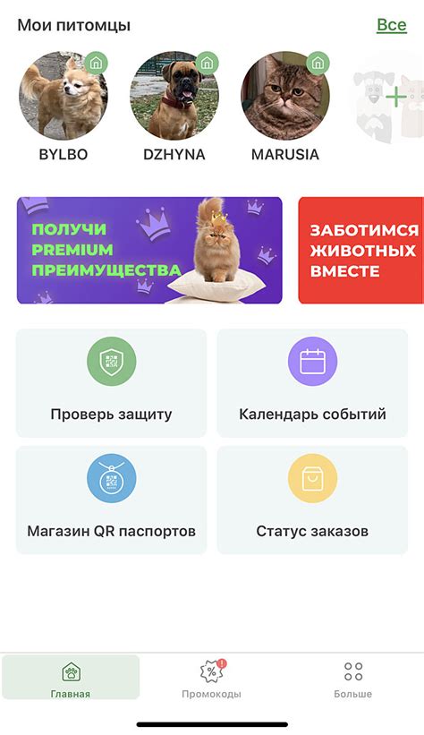 Как узнать данные с чипа животного