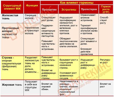 Как усилить ватрушку топинамбуром