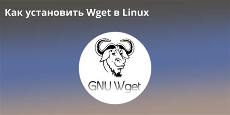 Как установить и настроить Linux Wget