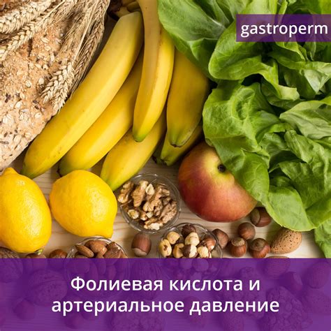 Как фолиевая кислота улучшает поглощение железа?