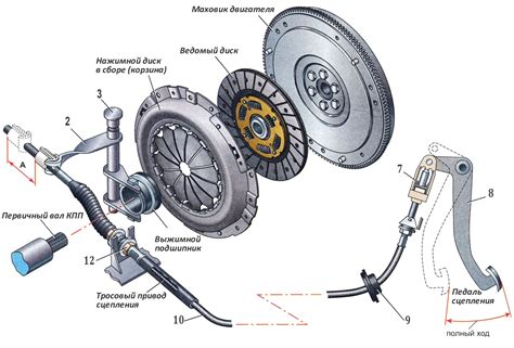 Как функционирует автоматическая система сцепления