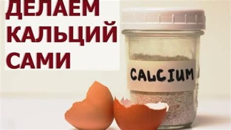 Как яичная скорлупа в сыром виде влияет на усваиваемость кальция?