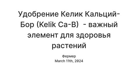 Кальций: важный элемент для здоровья