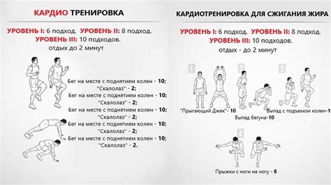 Кардиотренировки для эндоморфов