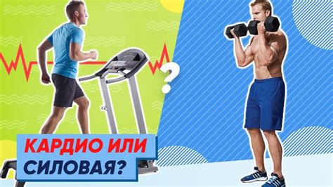 Кардио или силовая нагрузка: кто побеждает?