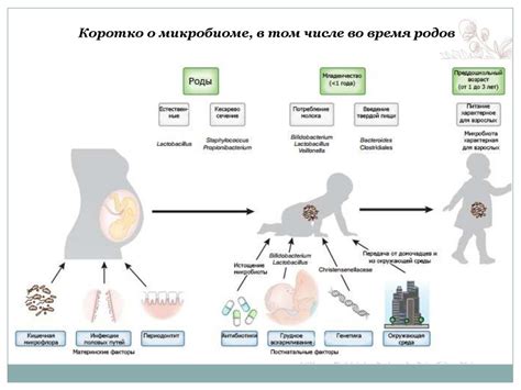 Киви и потенциальная аллергенность в период грудного вскармливания