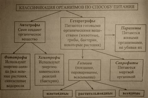 Классификация по типу движения механизма