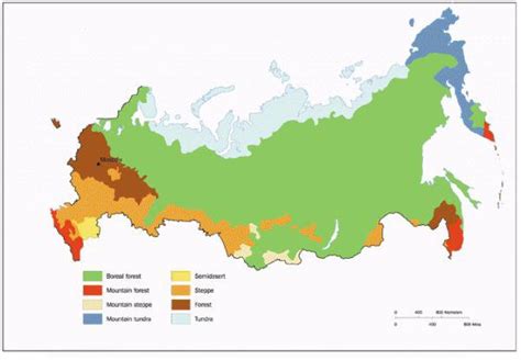 Климатические особенности Подмосковья и уязвимость роз