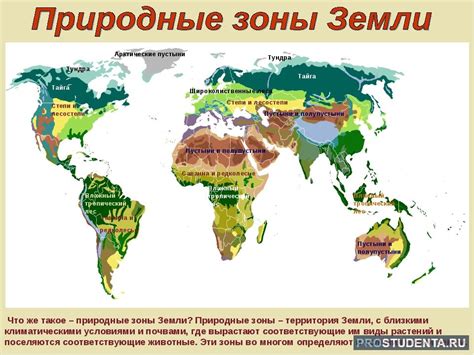 Климатические особенности исходной местности