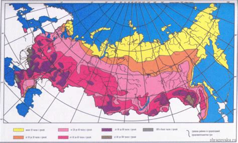 Климатические условия Московской области и их влияние на рост кедра