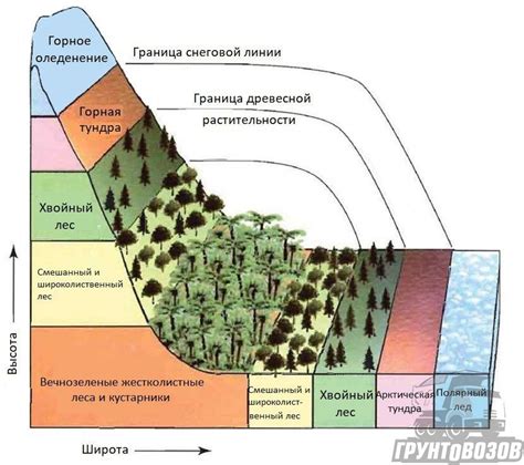 Климат и почва