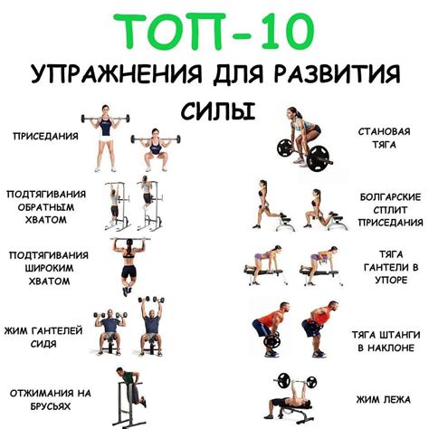 Ключевые рекомендации при старте тренировок