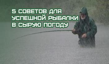 Ключевые условия для успешной рыбалки в пасмурную погоду