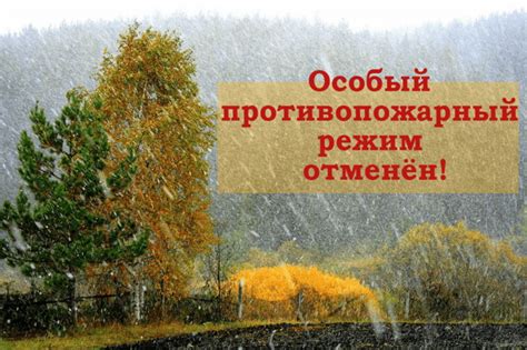 Когда закончатся ограничения противопожарного режима в Ленинградской области?