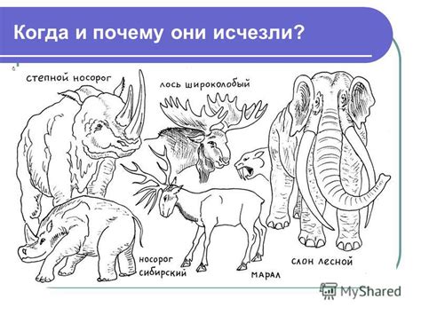 Когда и почему они исчезли?