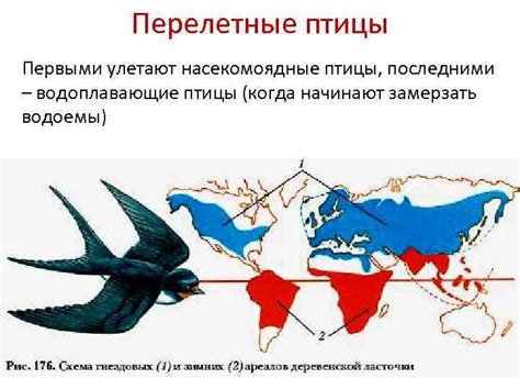 Когда перелетные птицы начинают готовиться к размножению?