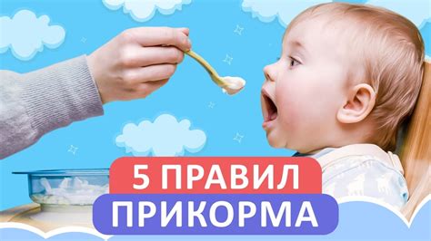 Когда приступить к прикорму грудничку на ГВ