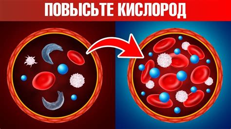 Когда уровень кислорода в крови падает: какие возникают симптомы?