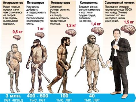 Когда человек разумный появился: 7 класс