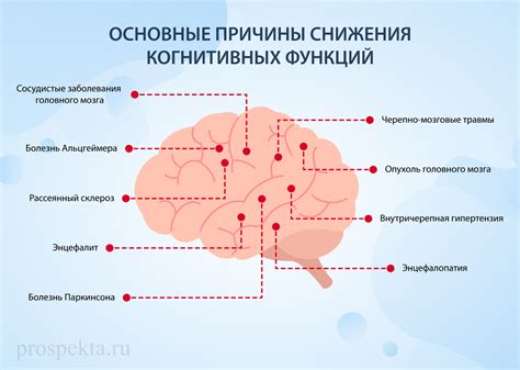 Когнитивные функции мозга и их восстановление