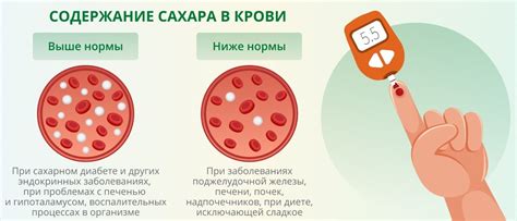 Кокосовая стружка и уровень сахара в крови: что говорят исследования?