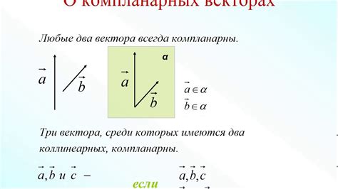 Коллинеарность векторов: определение и понятие