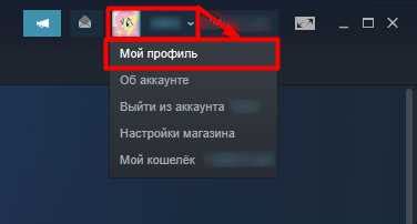 Коммуникация с другими пользователями Steam для обмена опытом