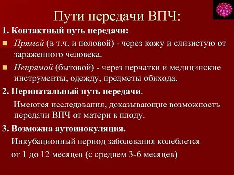 Контактный путь передачи ВПЧ