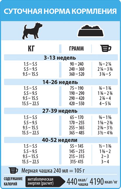 Корм на пастбище: диета щенка в процессе занятий спортом