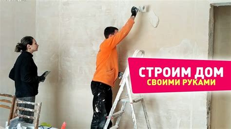 Короед и шпаклевка стен: взаимосвязь и необходимость