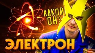 Кот и его суперсилы: что делает его особенным