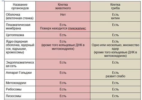 Кошки и собаки: общие черты и отличия