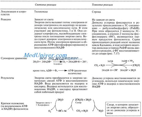 Краткое изложение процесса соединения батареек крона