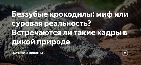 Крокодилы: миф или реальность в России