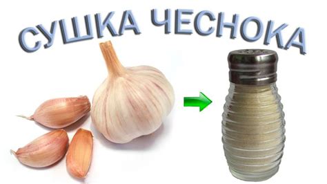 Кулинарные применения чесночного порошка