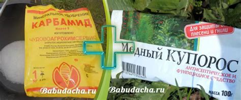 Купорос и мочевина: можно ли их смешивать?